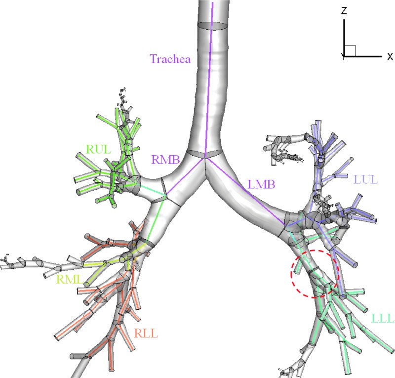 FIG. 1.