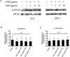 Figure 6