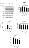 Figure 7