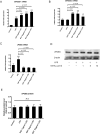 Figure 5