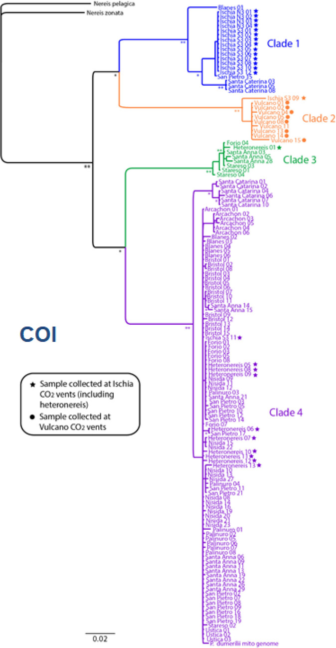 Fig. 8