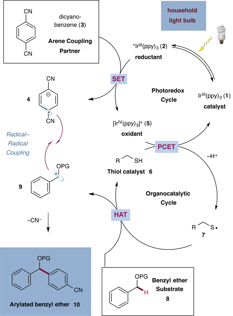 Scheme 1