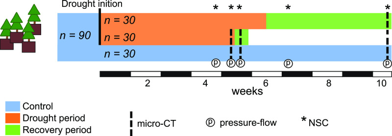 Figure 6.