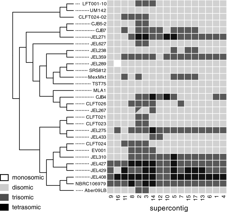 Fig. 3.