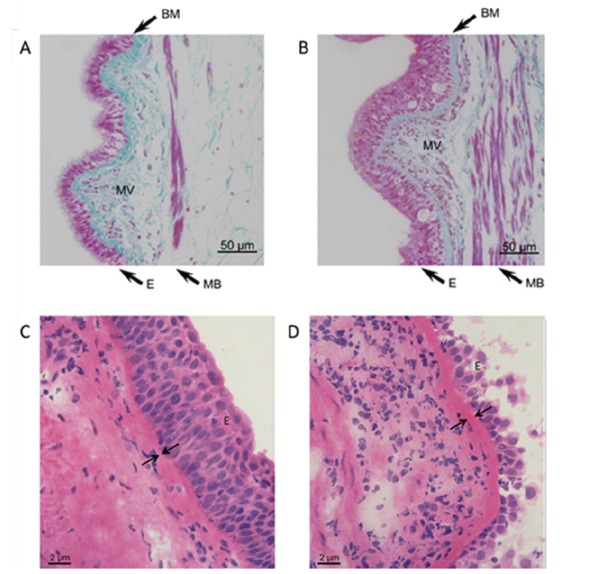 Fig. (1)