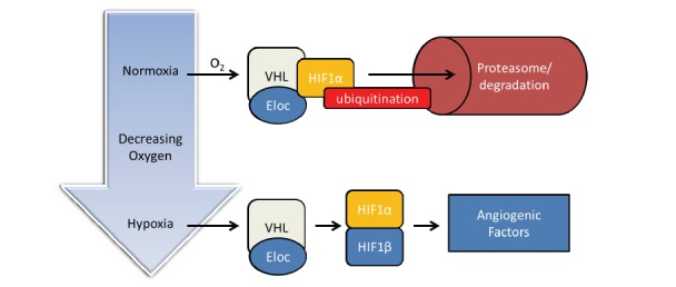 Fig. (4)