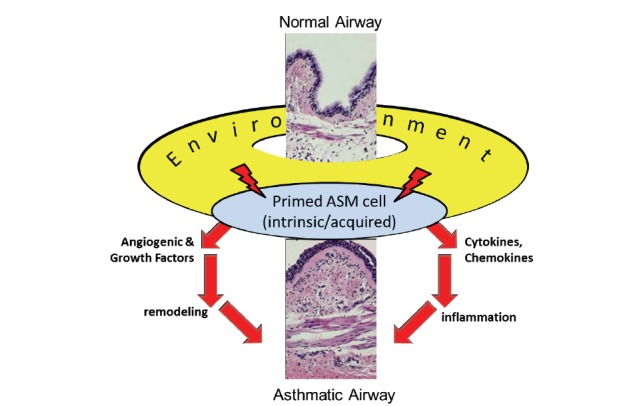 Fig. (5)