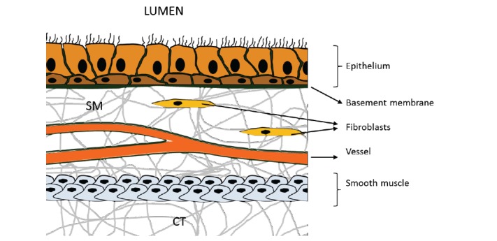 Fig. (2)