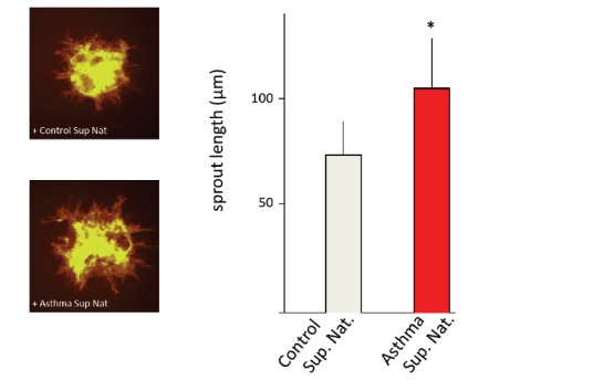 Fig. (3)