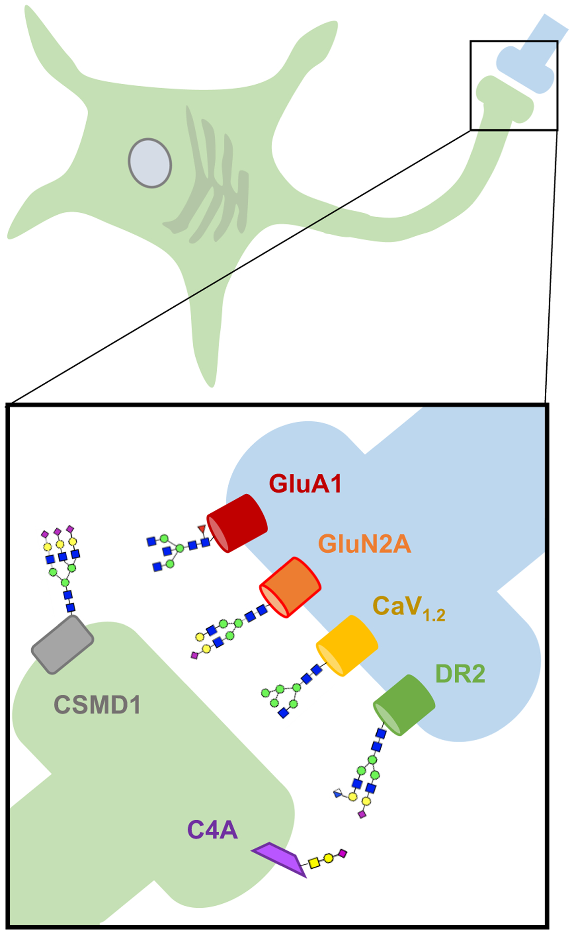 Figure 2.