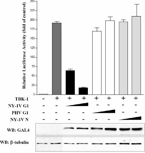 FIG. 10.