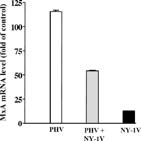 FIG. 7.