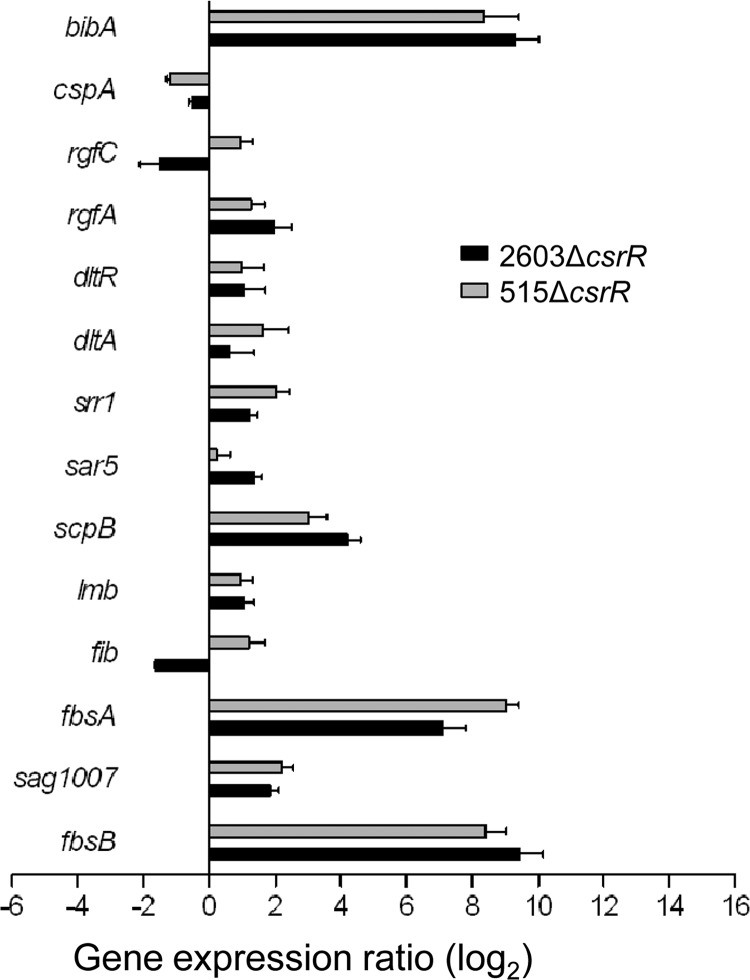 Fig 5