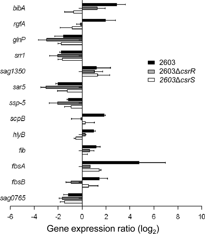 Fig 6