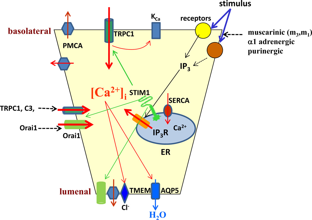 Fig. (1)