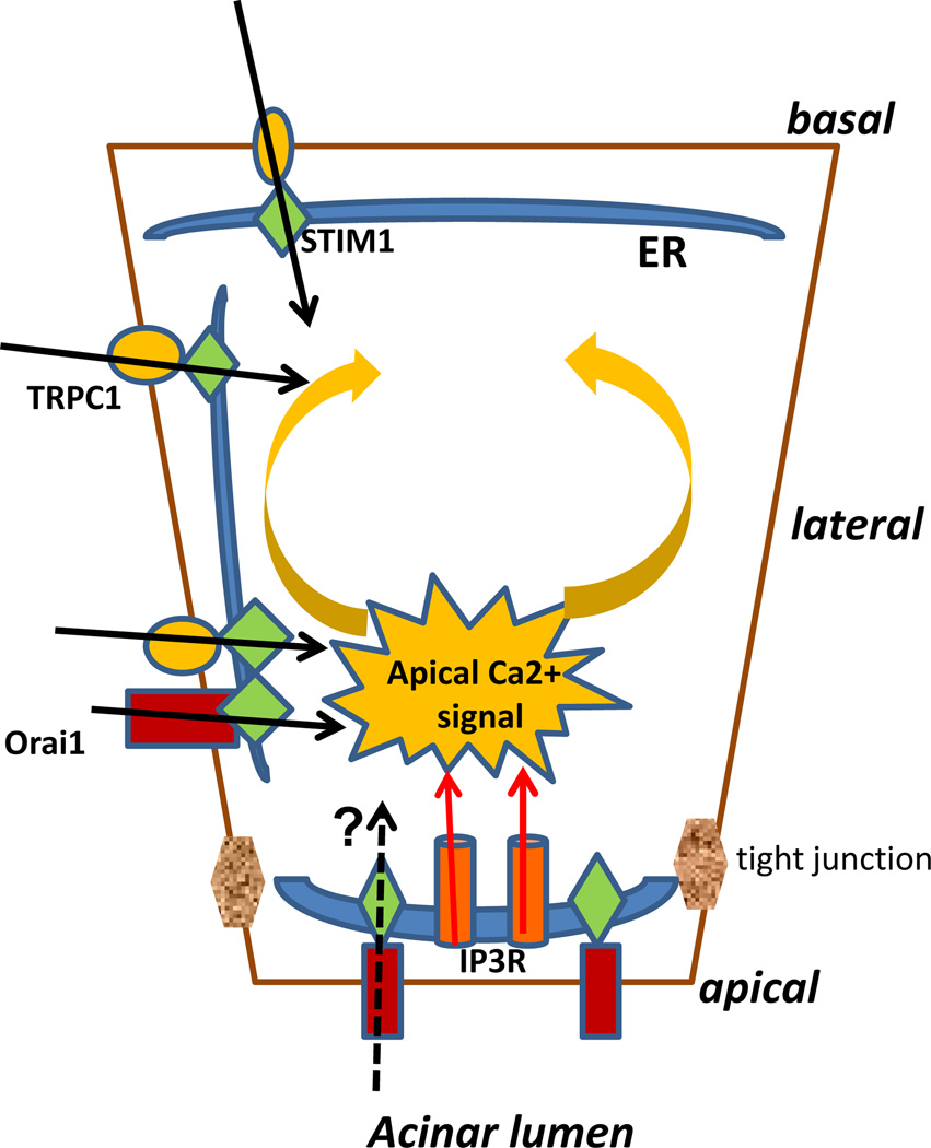 Fig. (2)