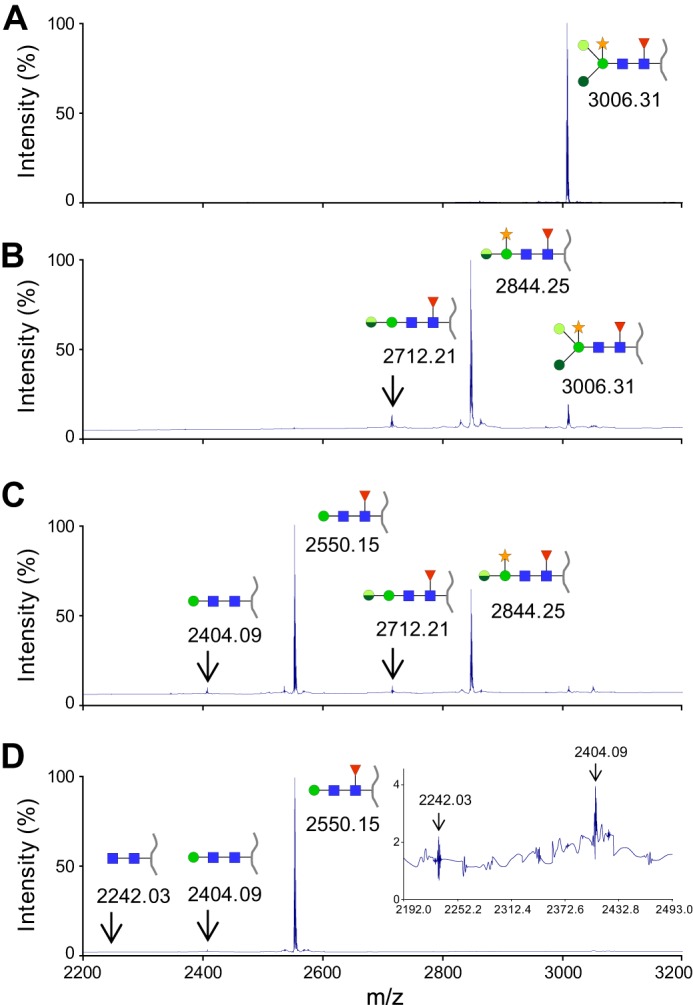 FIGURE 4.