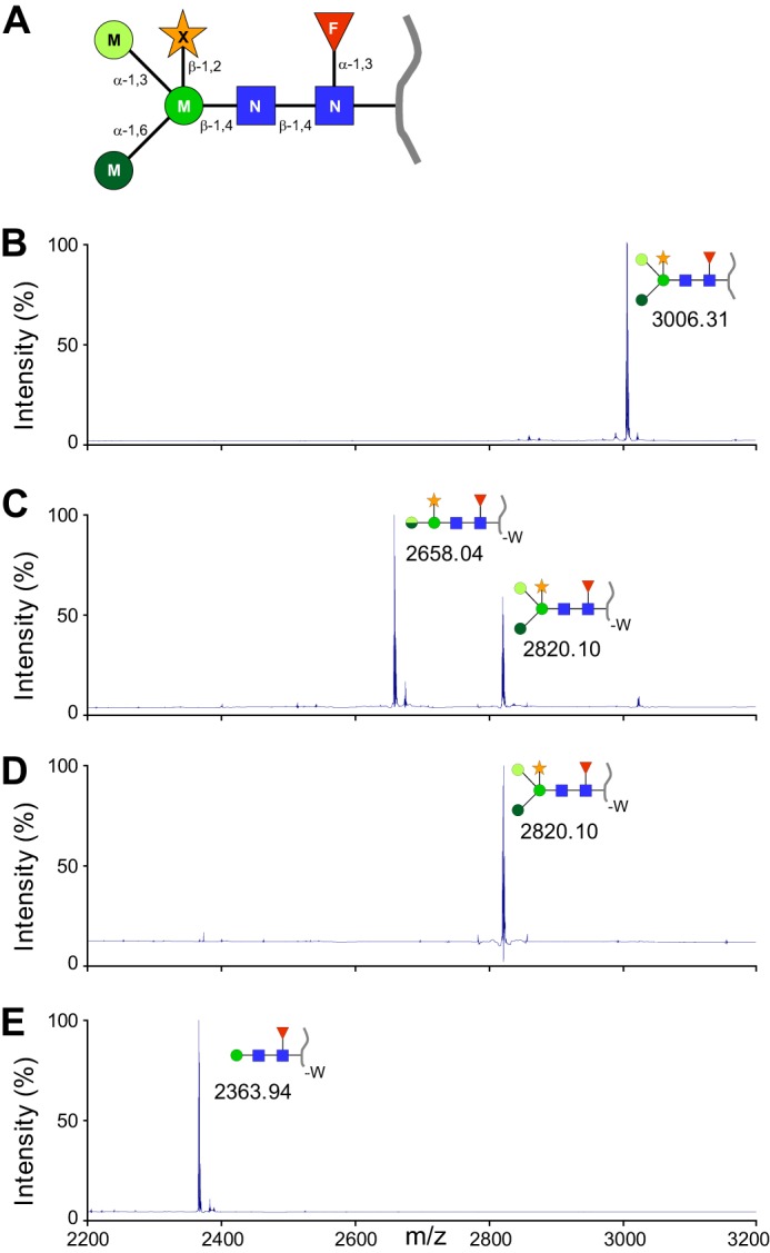 FIGURE 1.