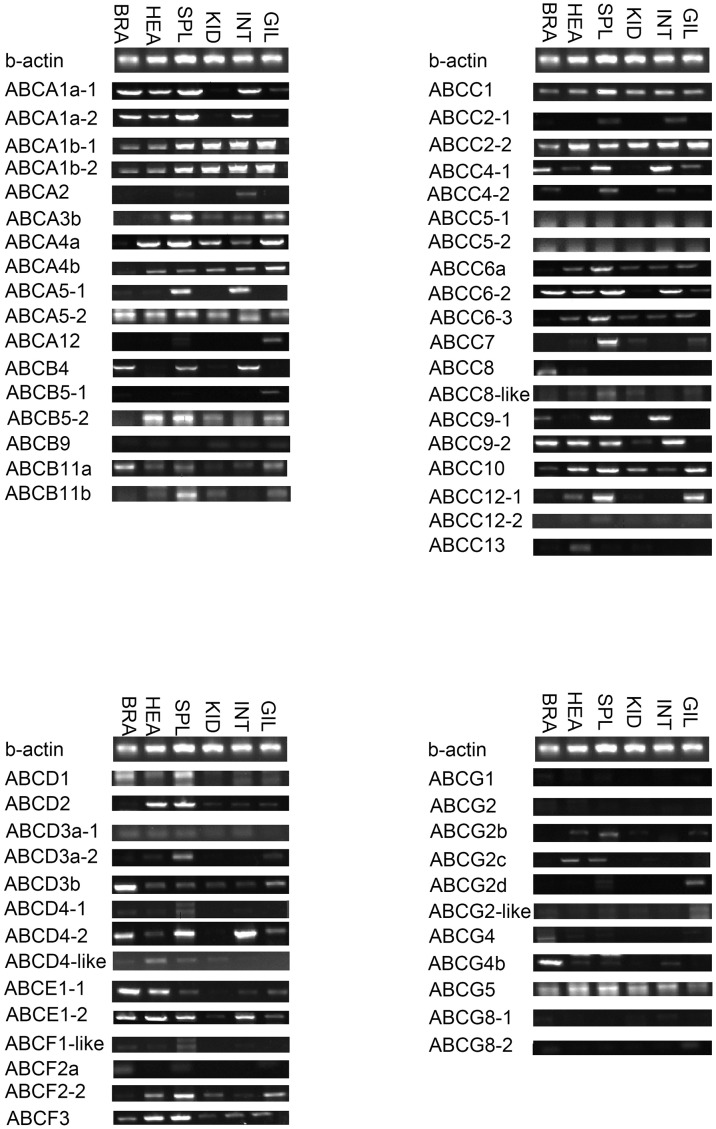 Fig 10