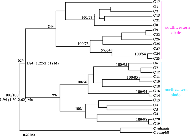 Figure 2