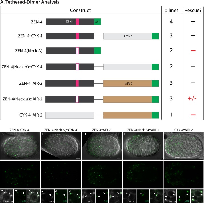 FIGURE 10: