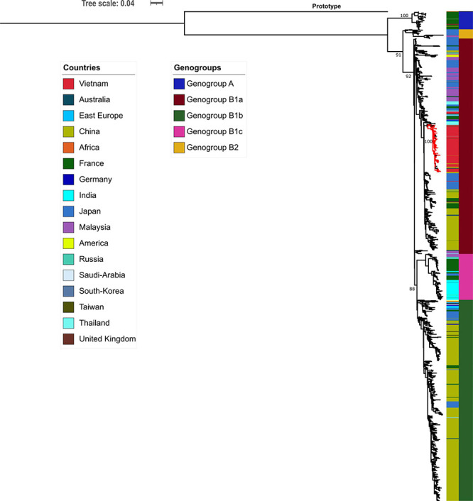 FIGURE 2