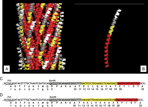 Fig. 1