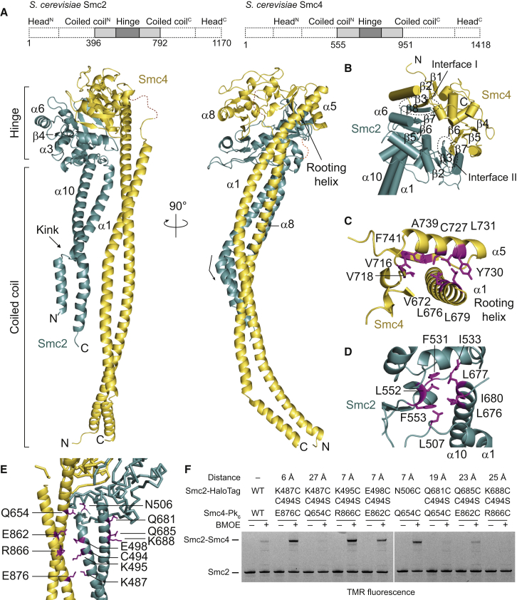 Figure 6