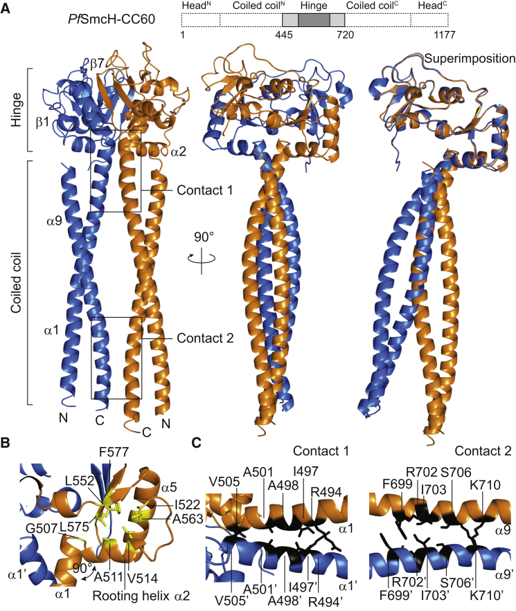 Figure 2