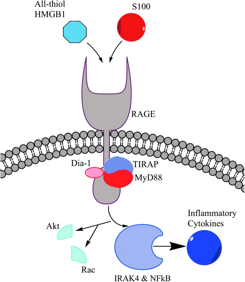 FIG. 6.