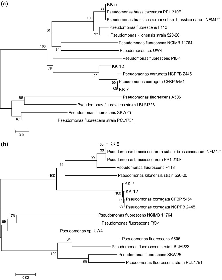 Fig. 2