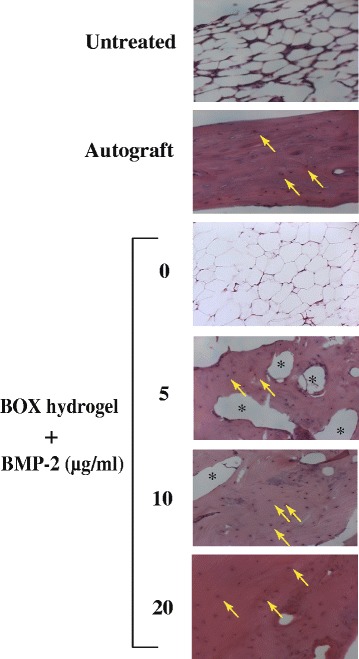 Fig. 9