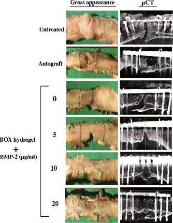 Fig. 11