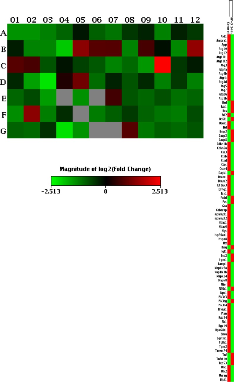 Fig. 10