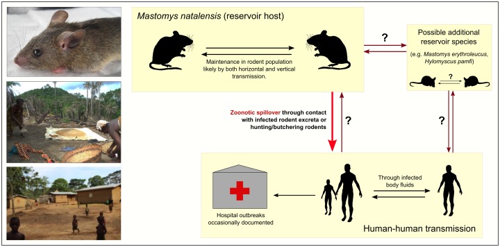 Figure 2.