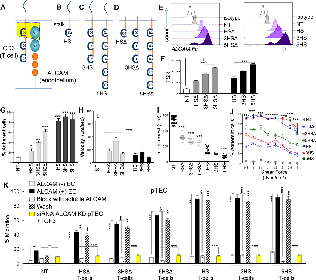 Figure 2 │