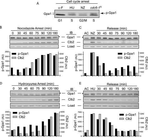 FIGURE 4.