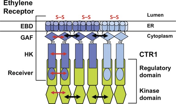 Fig. 2