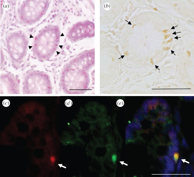 Figure 2.