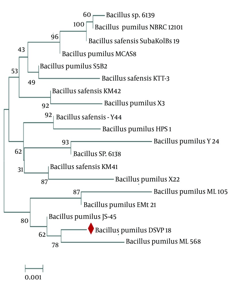 Figure 2.