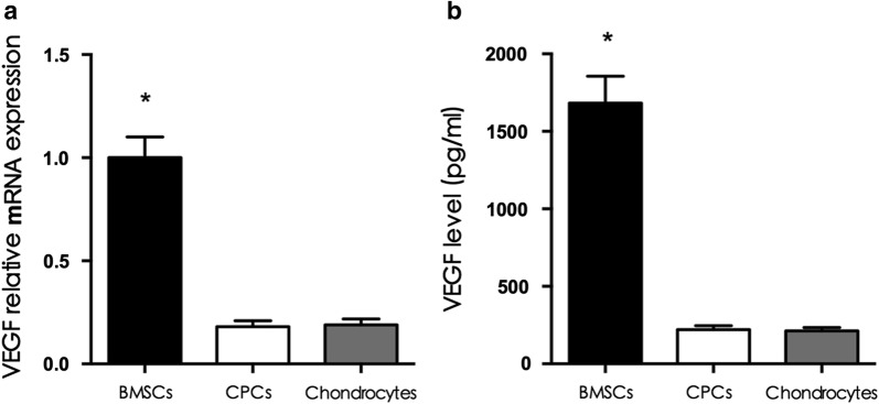 Fig. 7