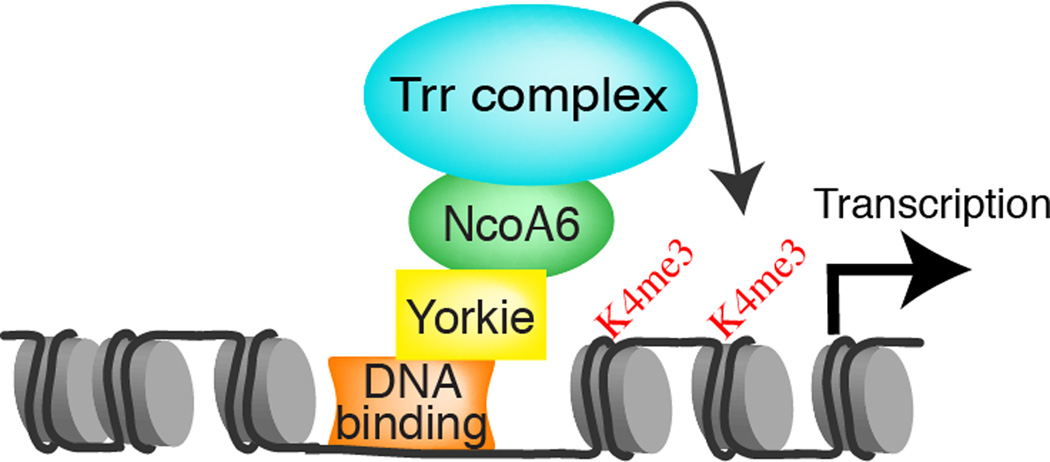 Figure 7