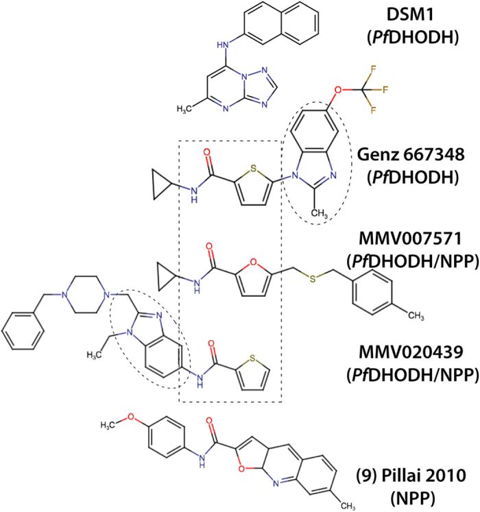 Figure 5