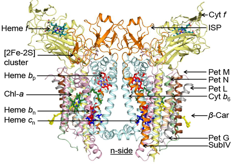 Structure-Function of the Cytochrome b6f Lipoprotein Complex: a ...