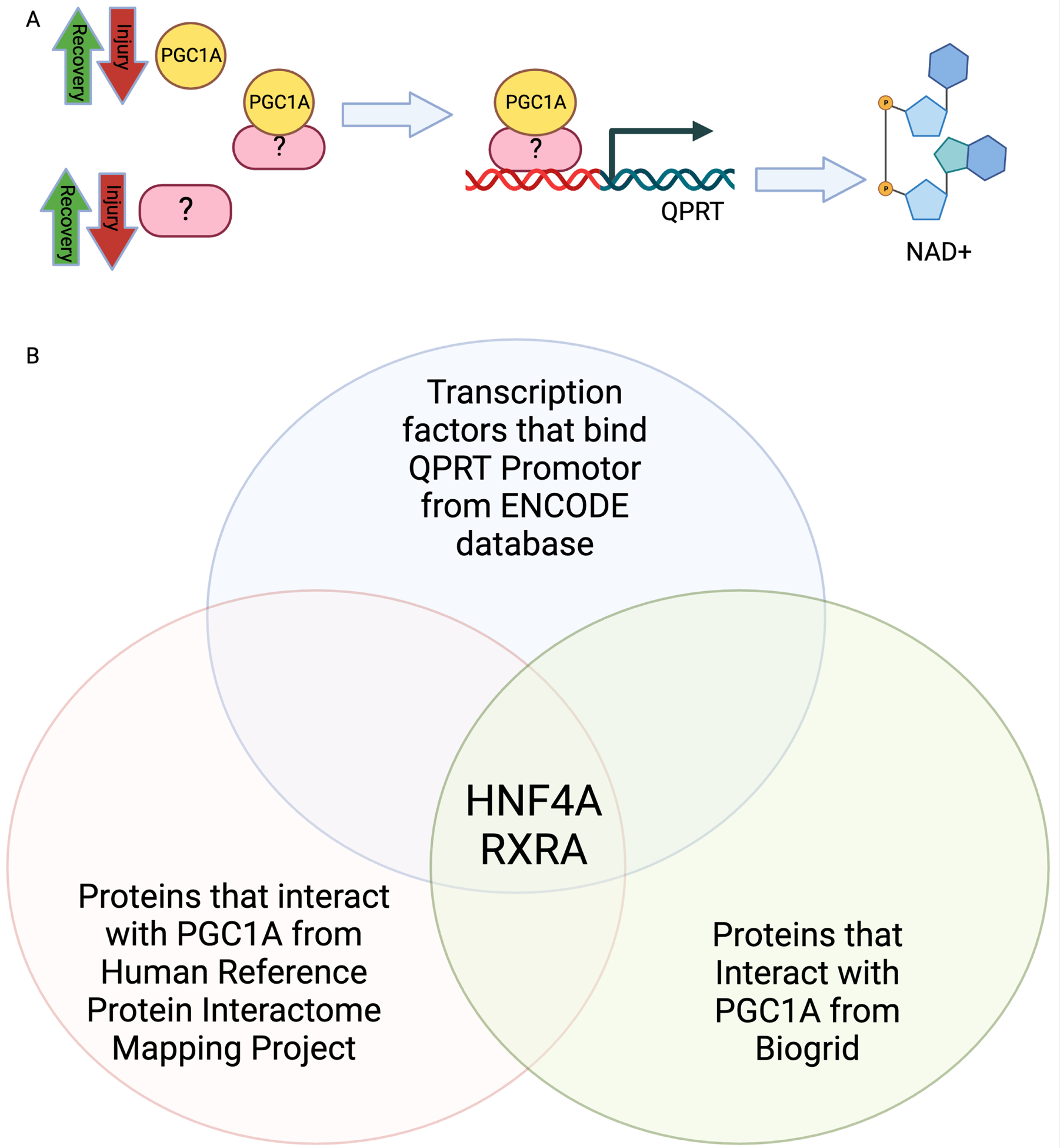 Figure 5: