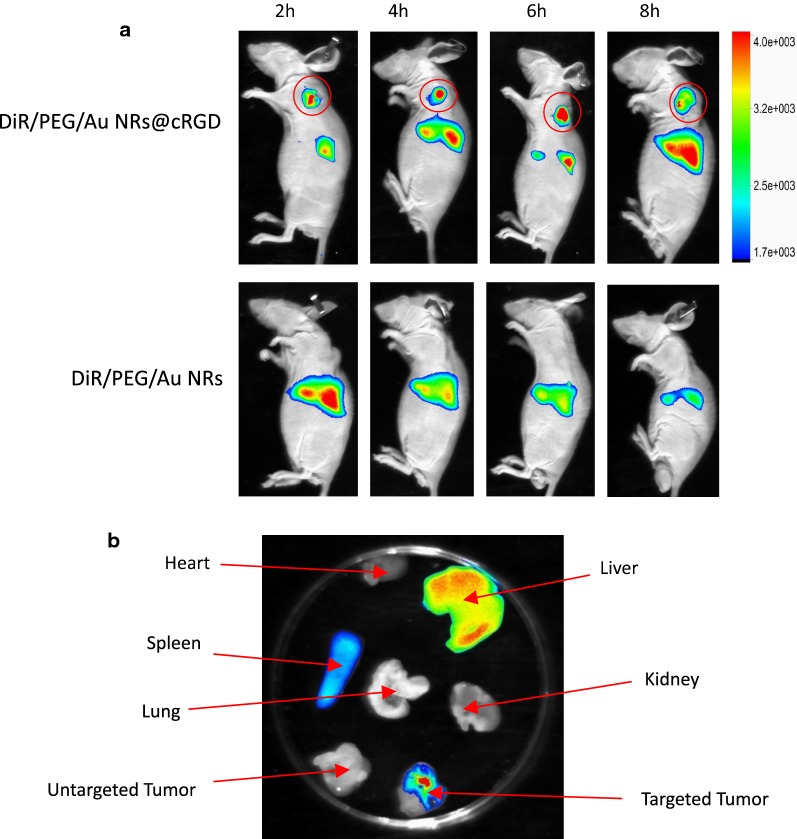 Fig. 7