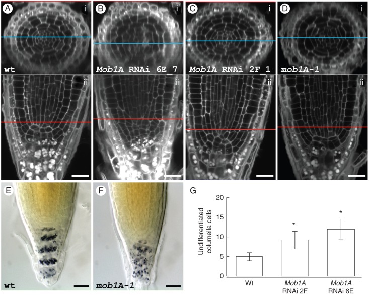 Fig. 6.