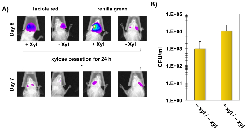 Fig. 10