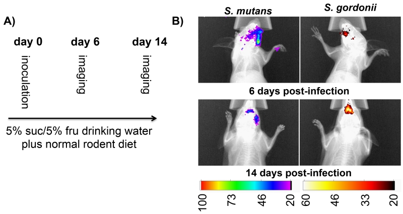 Fig. 3