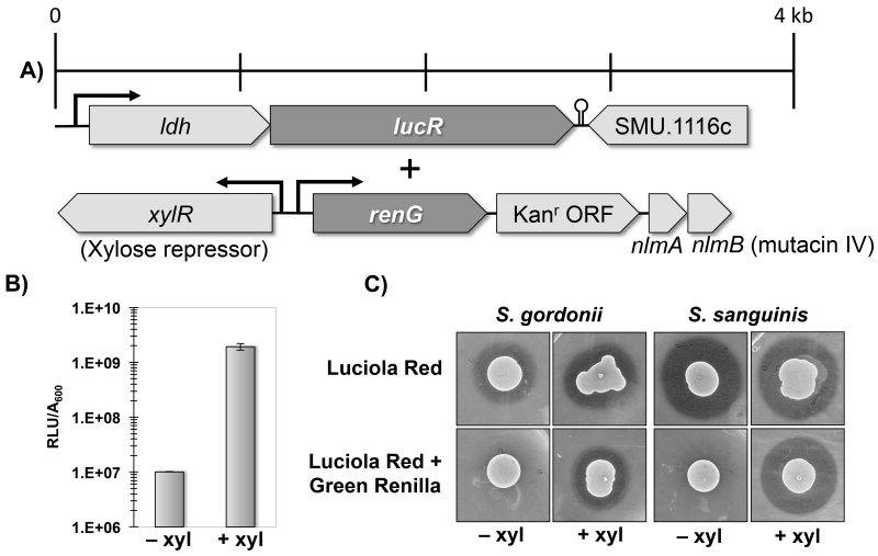 Fig. 8